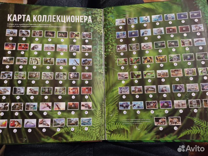 Книга Динозавры