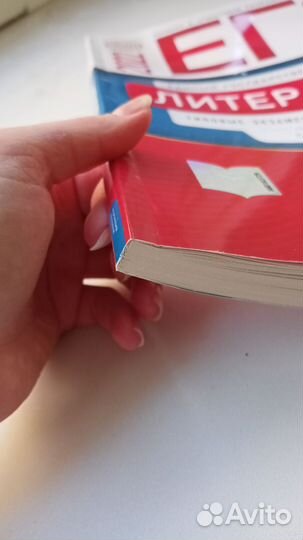 Сборник вариантов по литературе 2022 Зинина