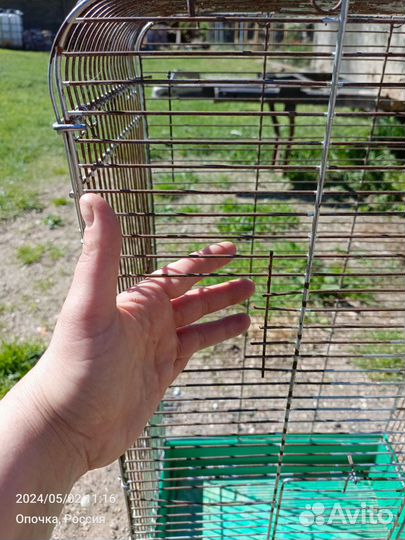 Клетке для птиц