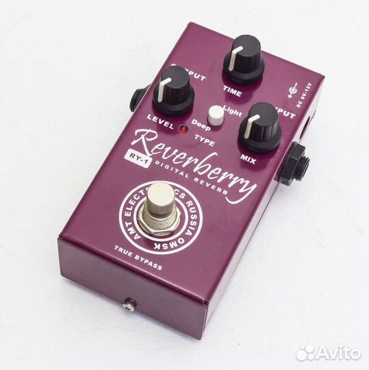 AMT RY-1 Reverberry