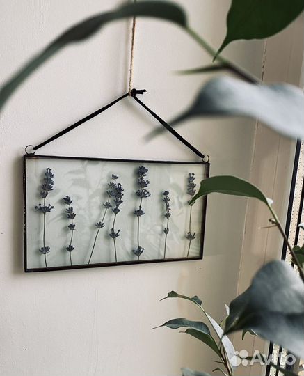 Гербарий в стекле «Лавандовый цвет»