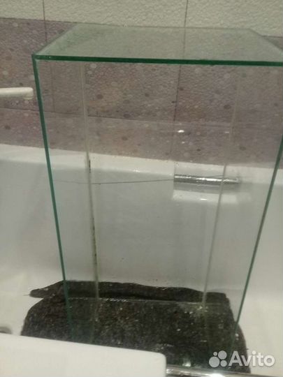 Аквариум или террариум