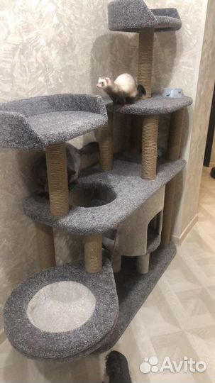 Когтеточка для кошек «Спасатели Малибу»