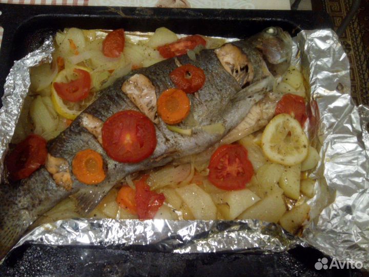 Живая рыба форель