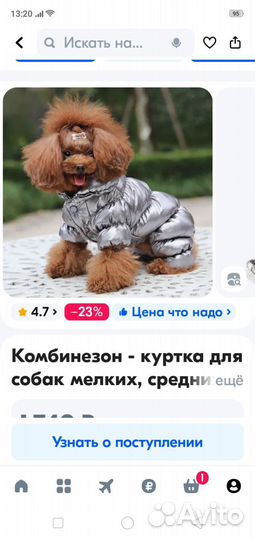 Комбинезон для собак мелких и средних пород