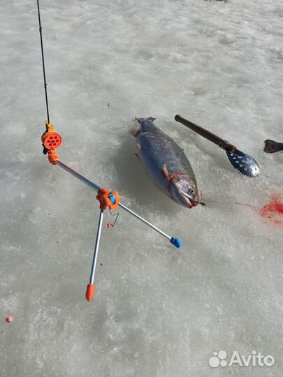 Самоподсекающая зимняя удочка Саранча