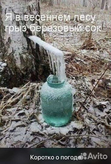 Для туризма