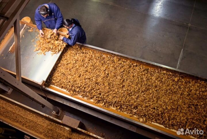 Разнорабочие/оплата сразу/зжм