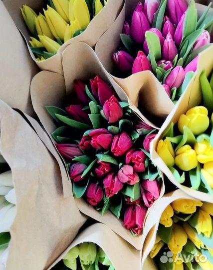 Тюльпаны к 8 марта