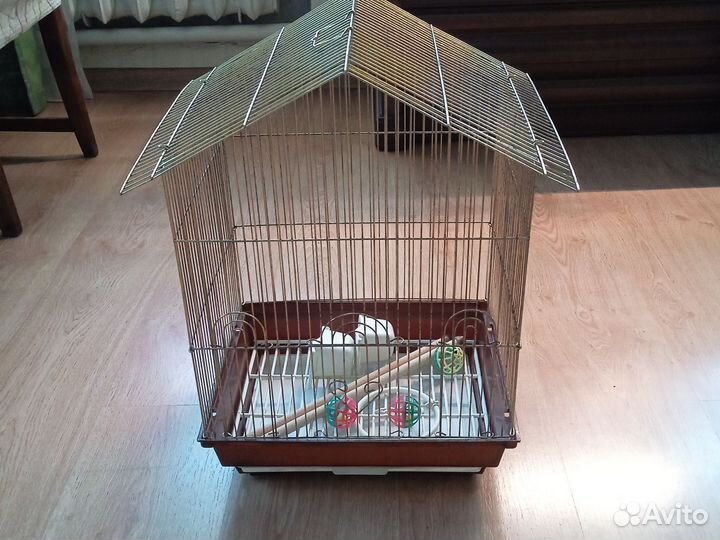 Клетка для попугая