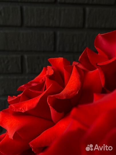 Французские розы букет