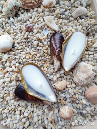 Свеча в ракушке. Свечи в морской тематике
