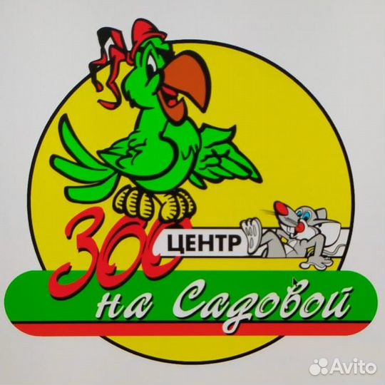 Ассистент ветеринарного врача