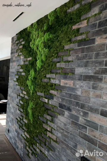 Мох стабилизированный для кирпичной стены