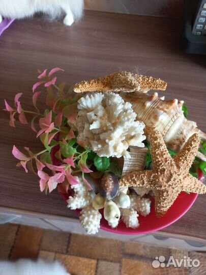 Набор для аквариума