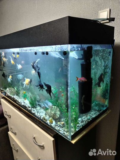 Украшение для аквариума