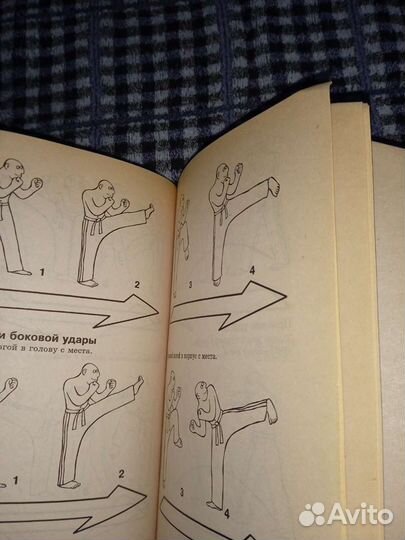 Книги по боевым искусствам.Цена за все