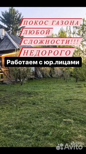 Покос травы