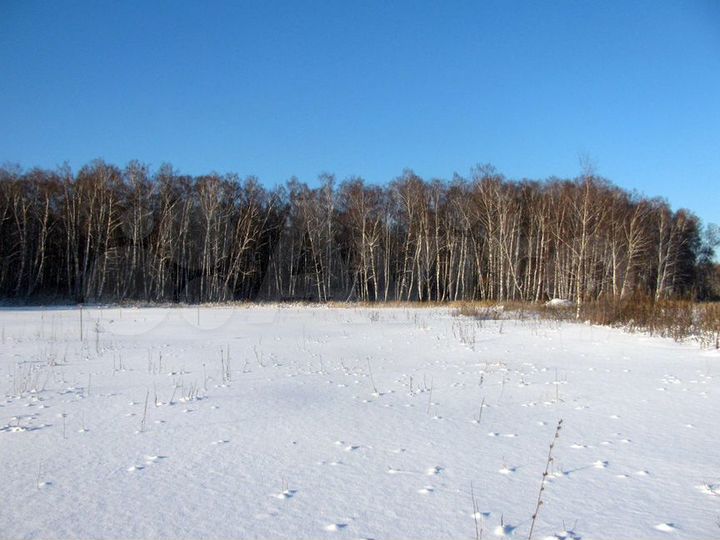 Участок 7,8 сот. (ИЖС)