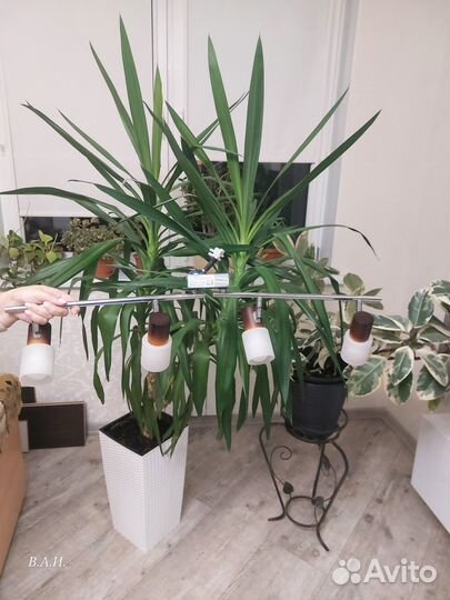 Люстра потолочная