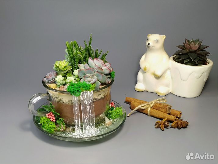 Флорариум в подарок