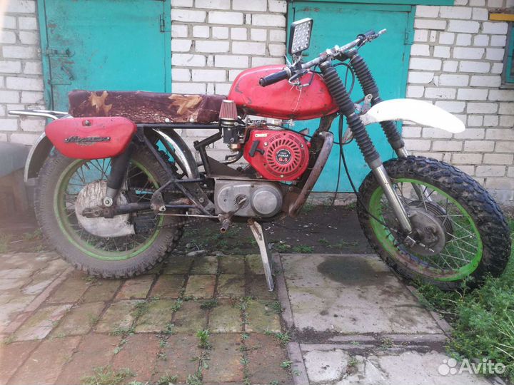 Минск гибрид