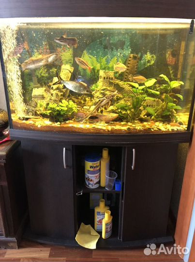 Аквариум с рыбками и тумбой