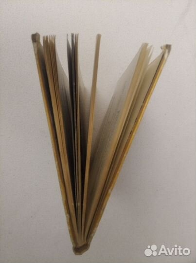 О. Феофанов. Музыка бунта