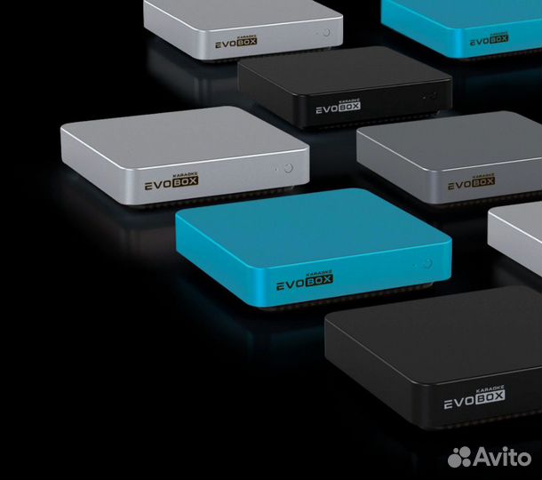 Профессиональное караоке для дома Evobox