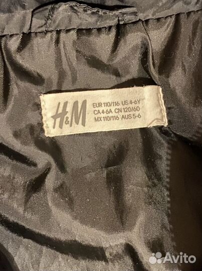 Ветровка hm