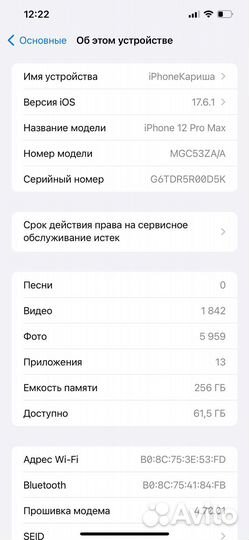 iPhone 12 Pro Max, 256 ГБ