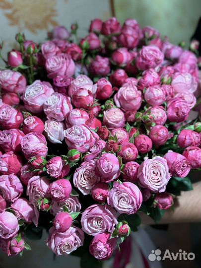 Розы кустовые