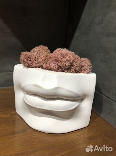 Кашпо «Губы Давида» со стабилизированным мхом