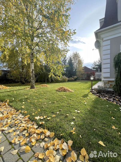 Рублевка. Рулонные газоны премиум качества