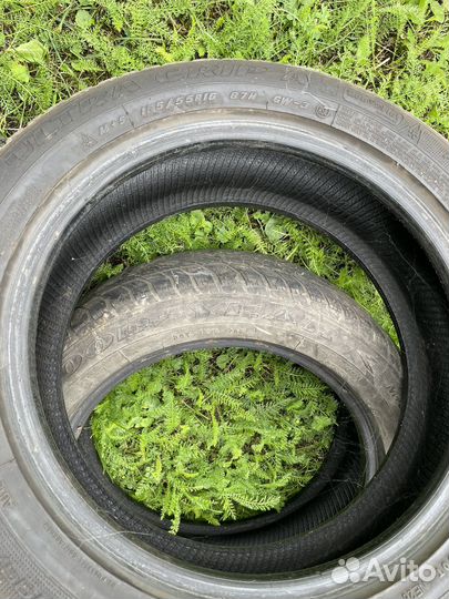 Goodyear Altimax Nordic 195/55 R16