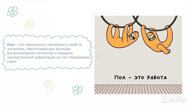 Репетитор по Биологии С нуля, егэ/огэ