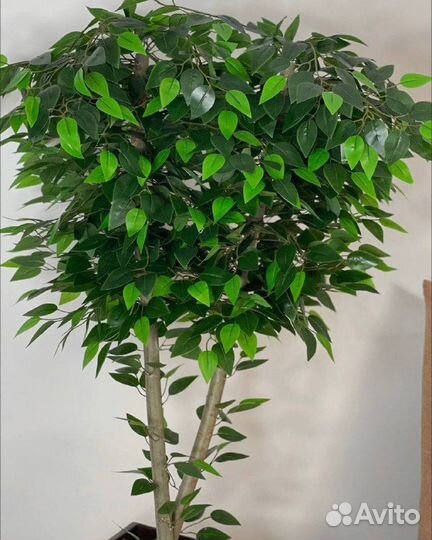 Дерево напольное искусственное