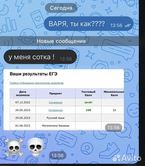 Репетитор по русскому языку и литературе