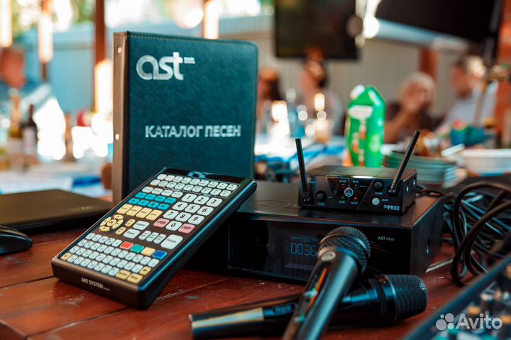 Выездное караоке. Аренда. прокат. доставка