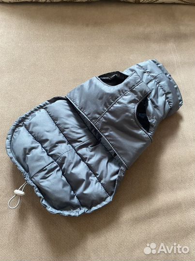 Одежда попона для собаки