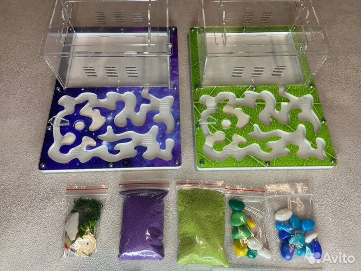 Муравьиная ферма новая с муравьями в комплекте