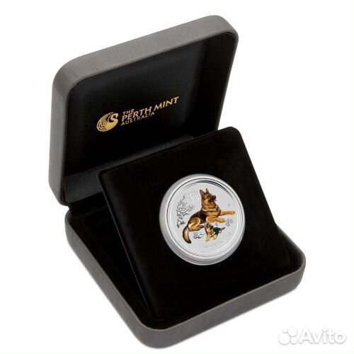 Год свиньи. Собаки. Обезьяны