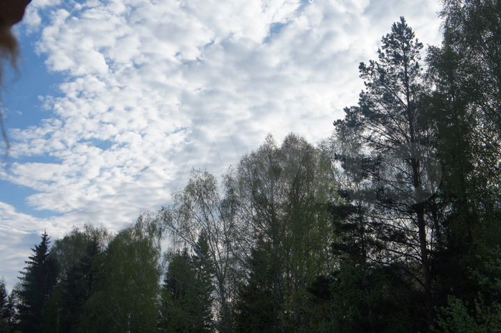 Участок 3,9 га (СНТ, ДНП)