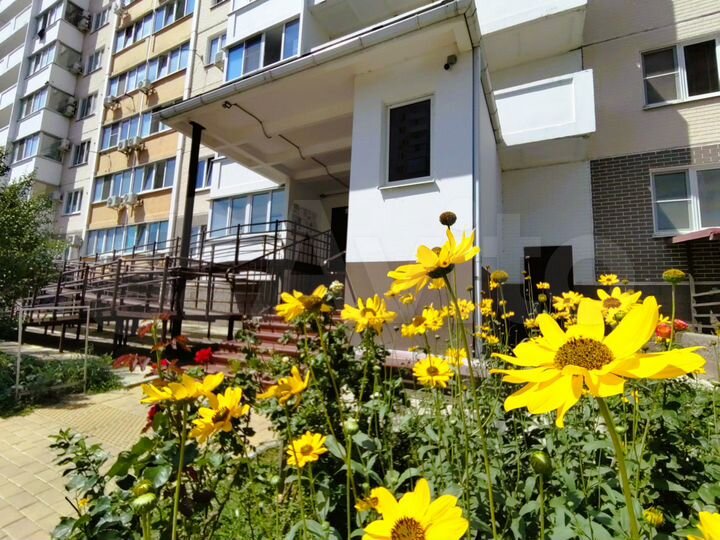 1-к. квартира, 31,6 м², 16/16 эт.