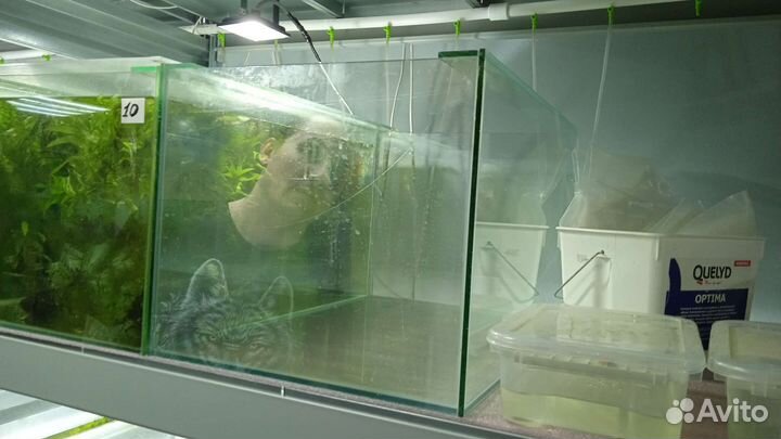 Аквариум и террариум