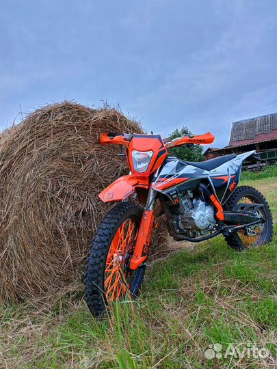 Рейсер к2 250