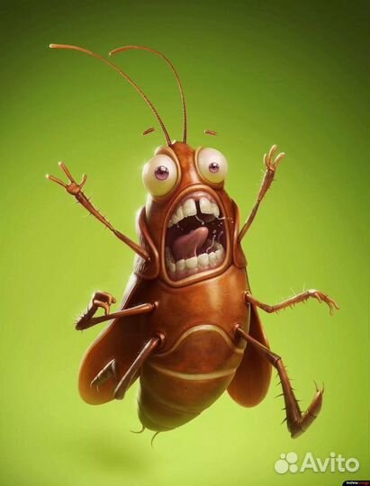 Дезинфекция