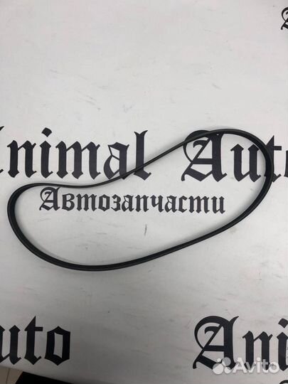 Ремень п/к nissan Qashqai