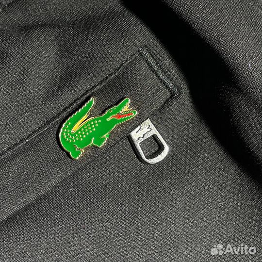 Брюки мужские Lacoste premium