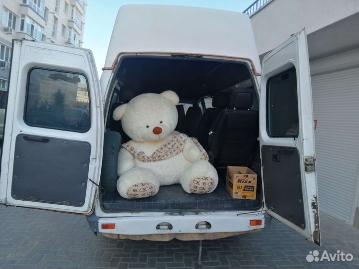 Пассажирские перевозки микроавтобус